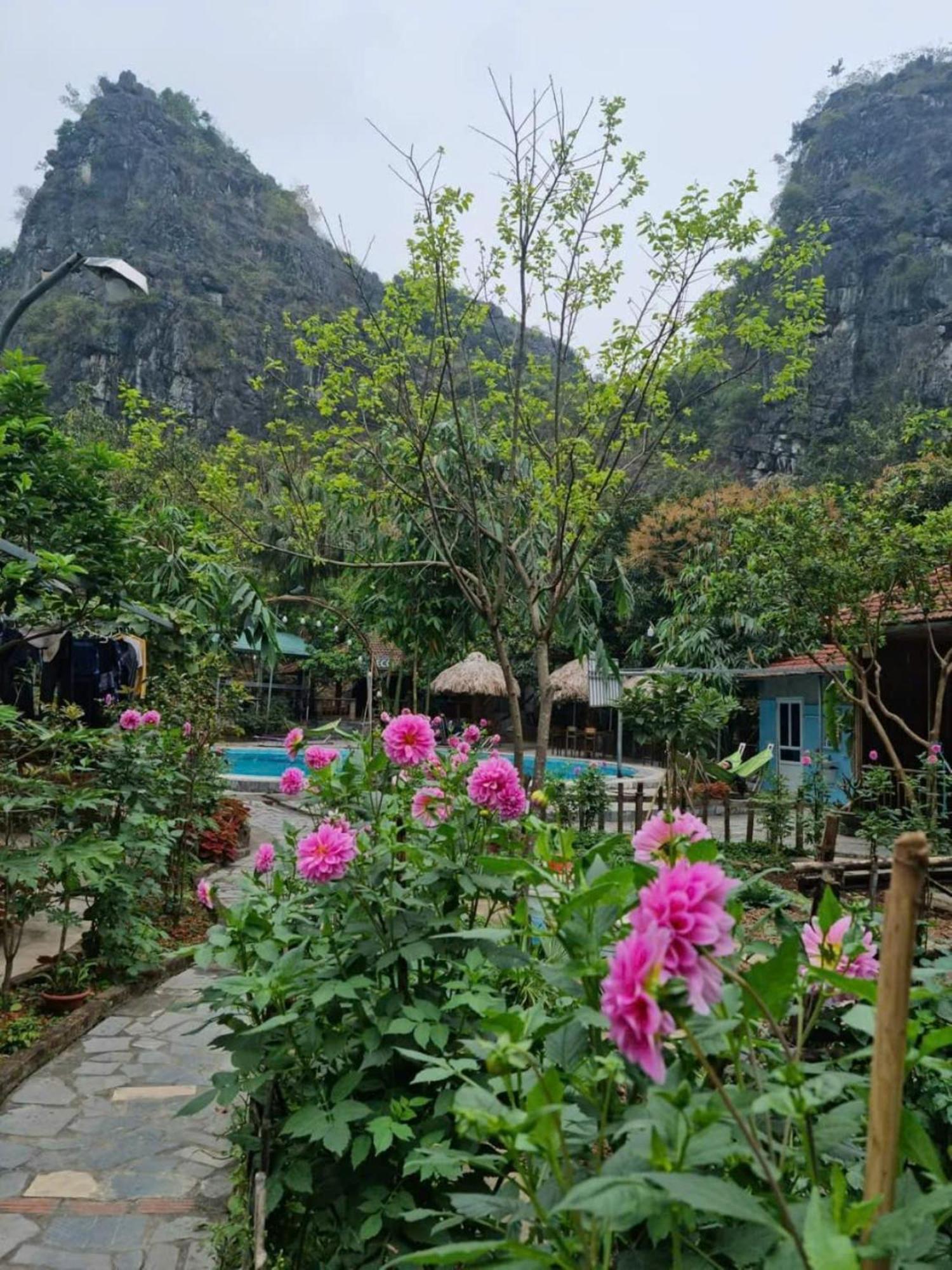 Hoalu Backpacker Homestay Ніньбінь Екстер'єр фото